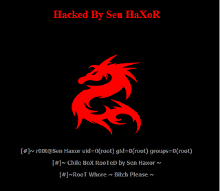 More than 1300+ Websites of Mexico hacked, Mexico server rooted by SenHeXoR.