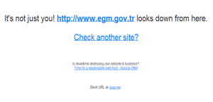 Turkish Government Police Website taken down by RedHack    TechWorm - 60