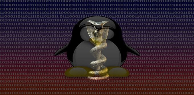 Epic Snake 'Turla' APT version targeting Linux machines