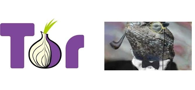 Lizard Squad Attacks Tor Network But Failed To Compromise