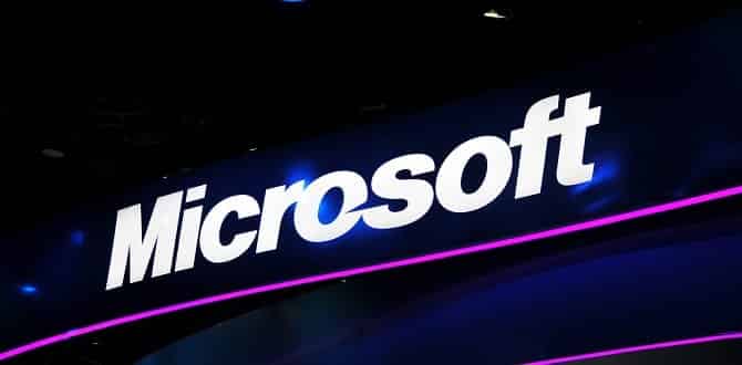 Microsoft says Friday's outage caused by software bug not cyber attack