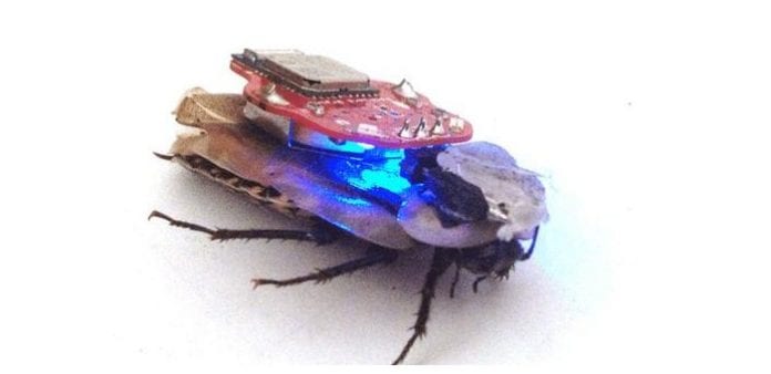 Researchers have created Cyborg Cockroaches by hijacking the cockroach brain and nervous systems using advanced computer chips