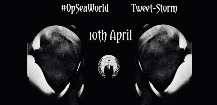 Anonymous takes cudgels with Seaworld on behalf of nature lovers, launch #OpSeaWorld