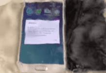Check out What Happens When You Boil an iPhone 6, Galaxy S6