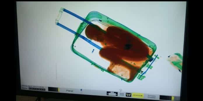 Woman tries to smuggle 8 year old boy into Spain in a suitcase