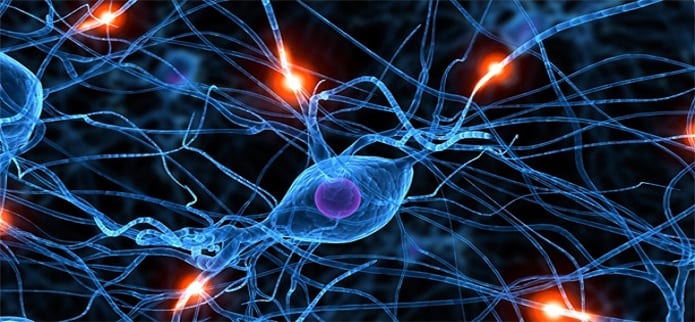 Researches say electronics directly injected into brain can cure paralysis and other neuro diseases