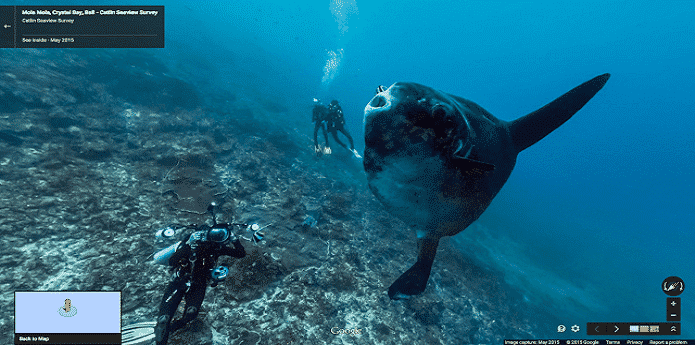 Google to celebrate Ocean's Day by going underwater on Google Maps Street View