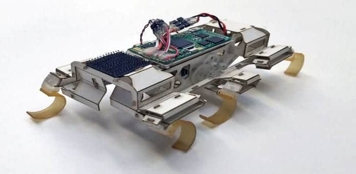 UC Berkeley researchers develop a Roach-inspired robot that can squeeze into tight spaces