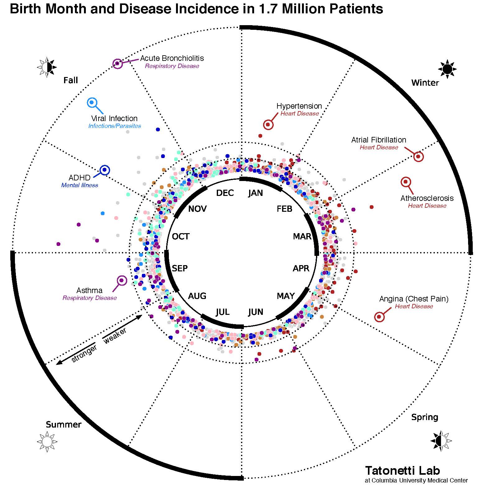 Scientist finds surprising linkage between birth month and health - 4