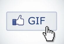 Facebook adds GIFs support for it's News Feed
