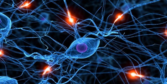 Sweden scientists build 'Artificial Neurons' that mimic function of human nerve cells