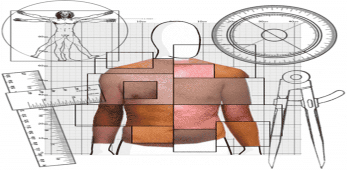 This website can estimate your body fat percentage by uploading just a single photo