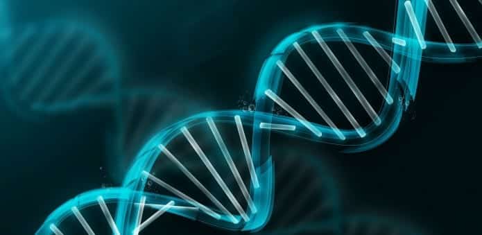 DNA to be used to store digital data for future