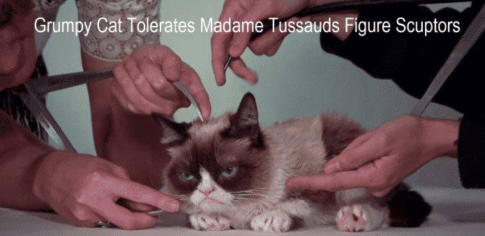 Internet sensation Grumpy Cat joins Steve Jobs, Beyonce, Obama, to get a wax statue at Madame Tussauds museum