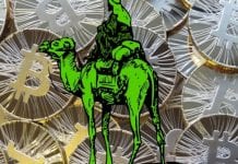 Former US federal agent investigating Silk Road admits he stole $820000 in bitcoins