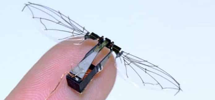 Take a break and watch this tiny insect robot fly and swim in water