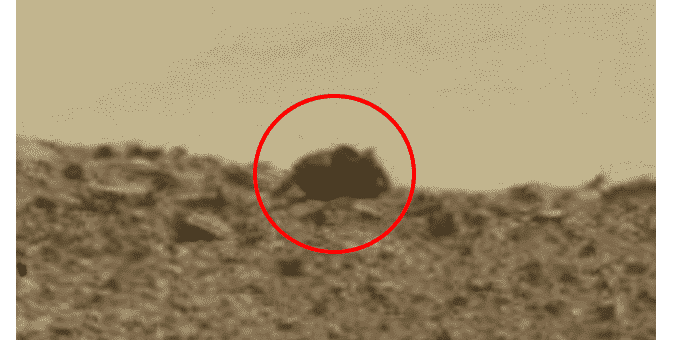Huge alien mouse spotted on the Red Planet Mars