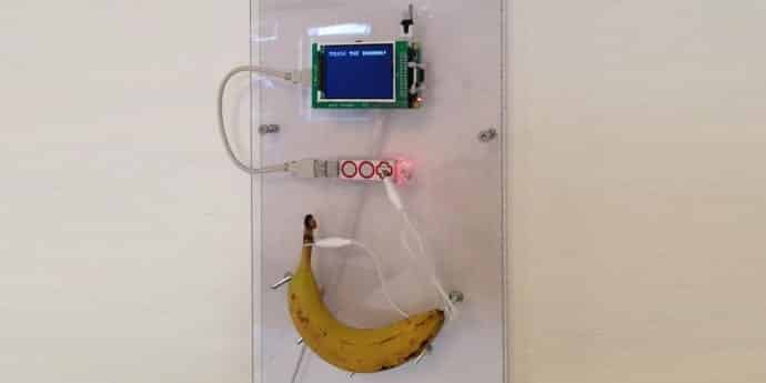 This Wi-Fi can only be accessed by squeezing a banana
