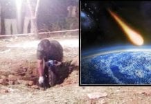 Meteorite claims first human life as man dies after getting hit