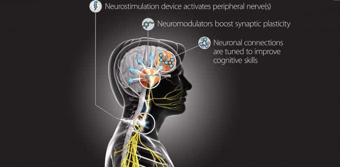DARPA Wants to Turn You Into a Super-Spy by Hacking Your Nervous System