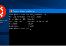 This is how you can run Ubuntu Apps on Windows 10 using Bash