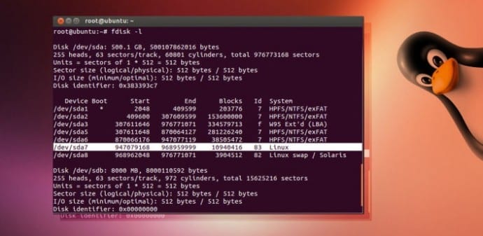 Must-Know Ubuntu Terminal Commands for a Smart User