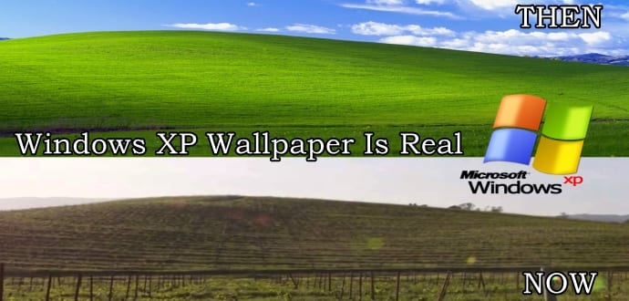 The hidden story behind the iconic Windows wallpaper