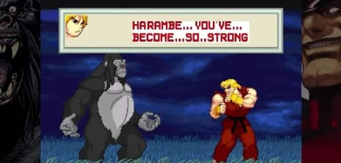Someone made a ‘Harambe vs. Capcom’ fighting game for the PC