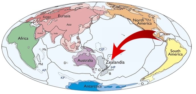 Scientists Discover World's 8th Continent Known As ‘Zealandia’