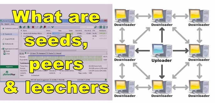 What are seeds, peers and leechers in Torrents' language?