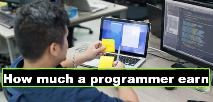 How much does a programmer earn ?
