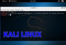 Kali Linux 2017.2