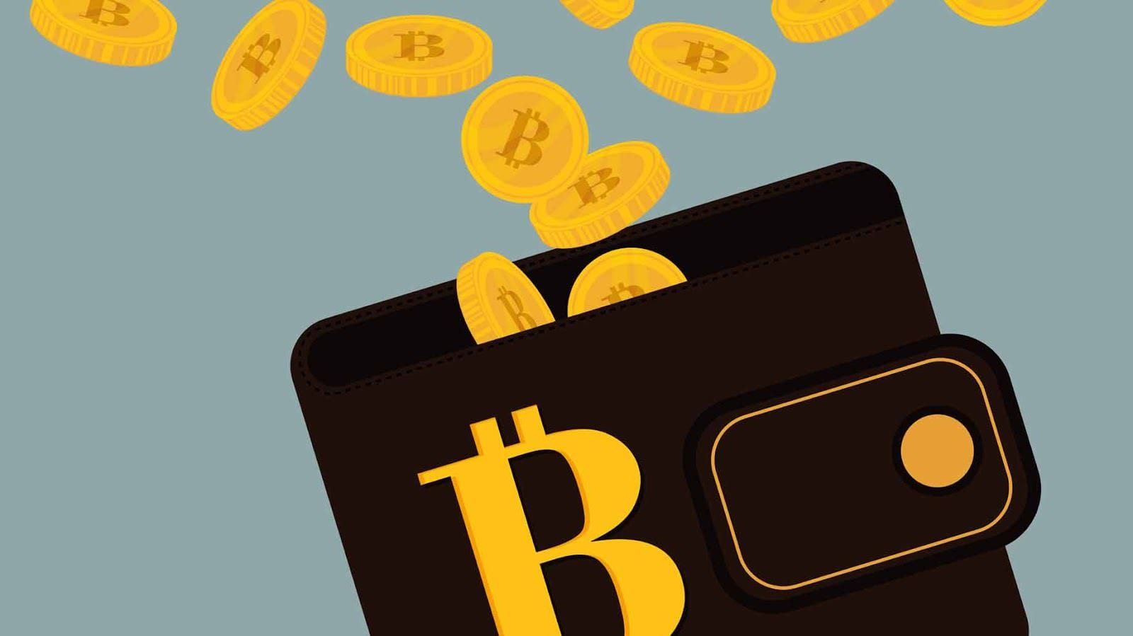 3 golden rules for choosing your Bitcoin wallet » TechWorm