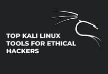 Top Kali Linux Tools