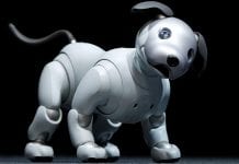 Sony’s revamped aibo robotic dog to launch in the U.S.