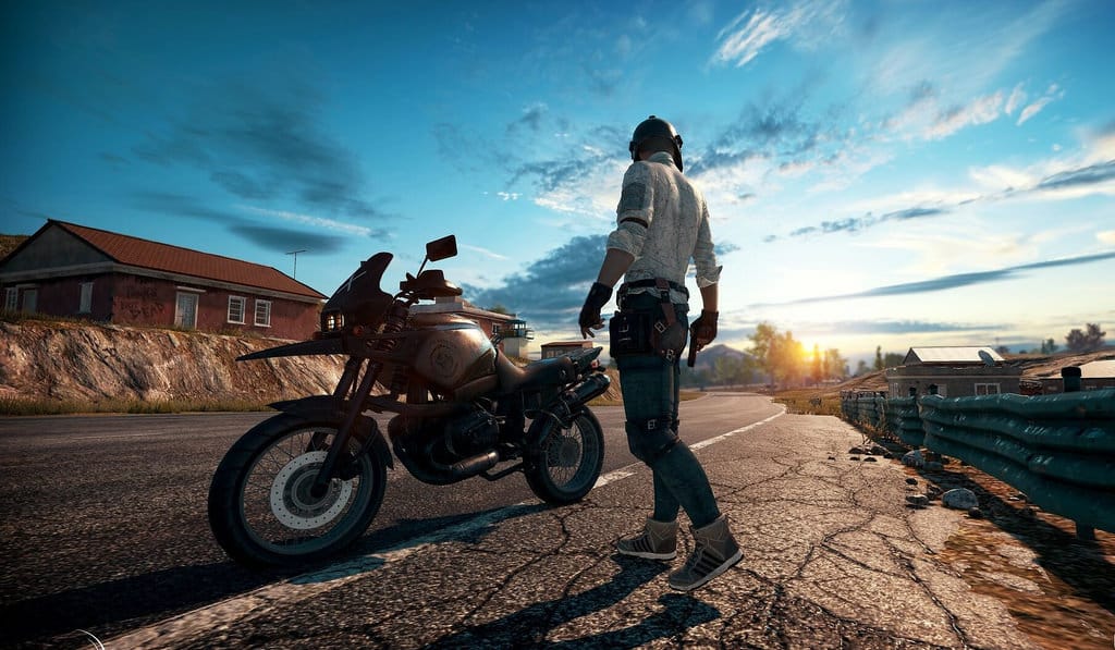 Download PUBG Lite PC (Official) - Windows 10/8/7 & MAC
