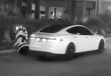 Self-driving Tesla hits and kills an autonomous robot at CES