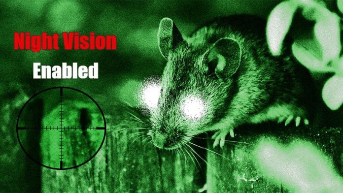 Chinese and US scientists create “super-mice” that can see in the dark