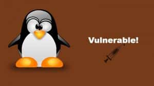 Beware Linux users! Vulnerability in Vim or Neovim Editor could ...