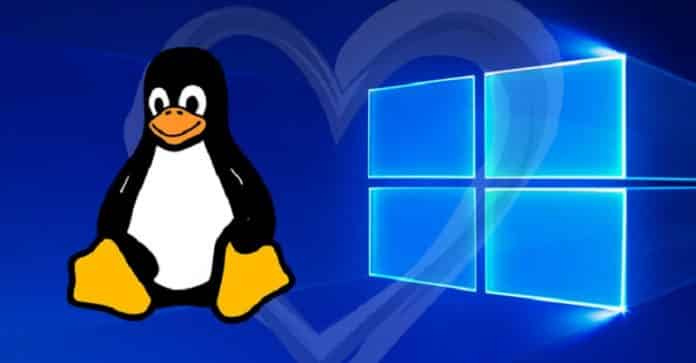Microsoft releases Windows Subsystem for Linux 2 (WSL 2) to Insiders