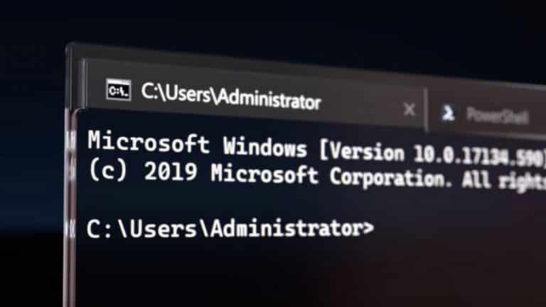 Microsoft Windows Terminal download