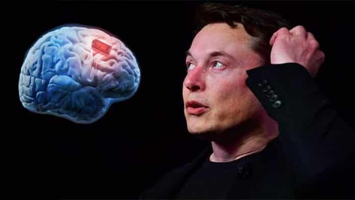 Elon Musk’s Neuralink unveils brain microchip to let humans 'merge with computers'