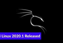 Kali Linux 2020.1 Released