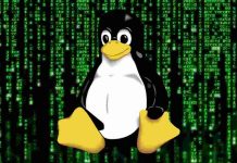 linux vulnerability