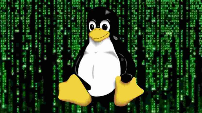 linux vulnerability