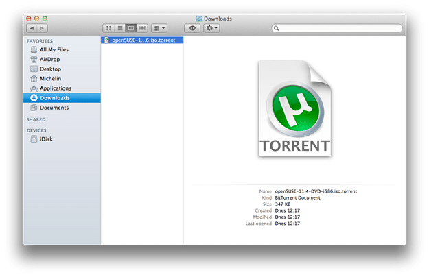 torrent file