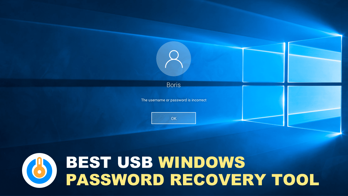 windows password resetter review