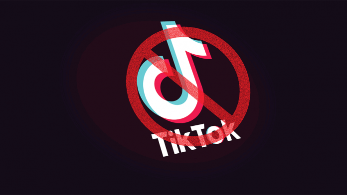 Tiktok Ban by Government