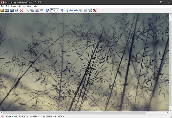 Irfanview Photo Viewer